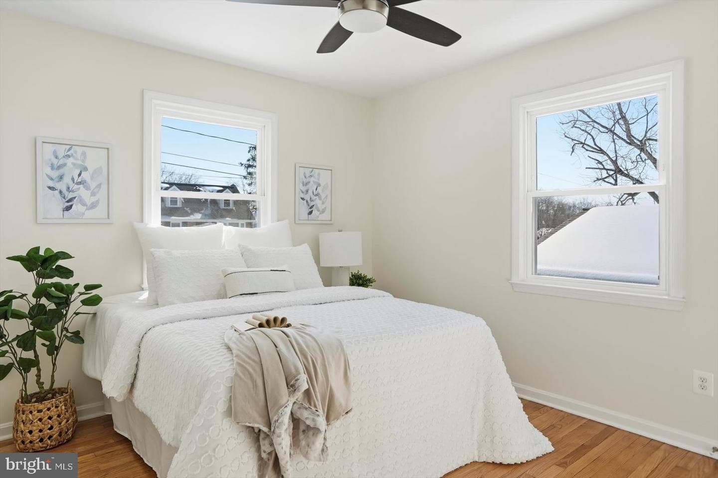 36 Mapledale Avenue photo 25