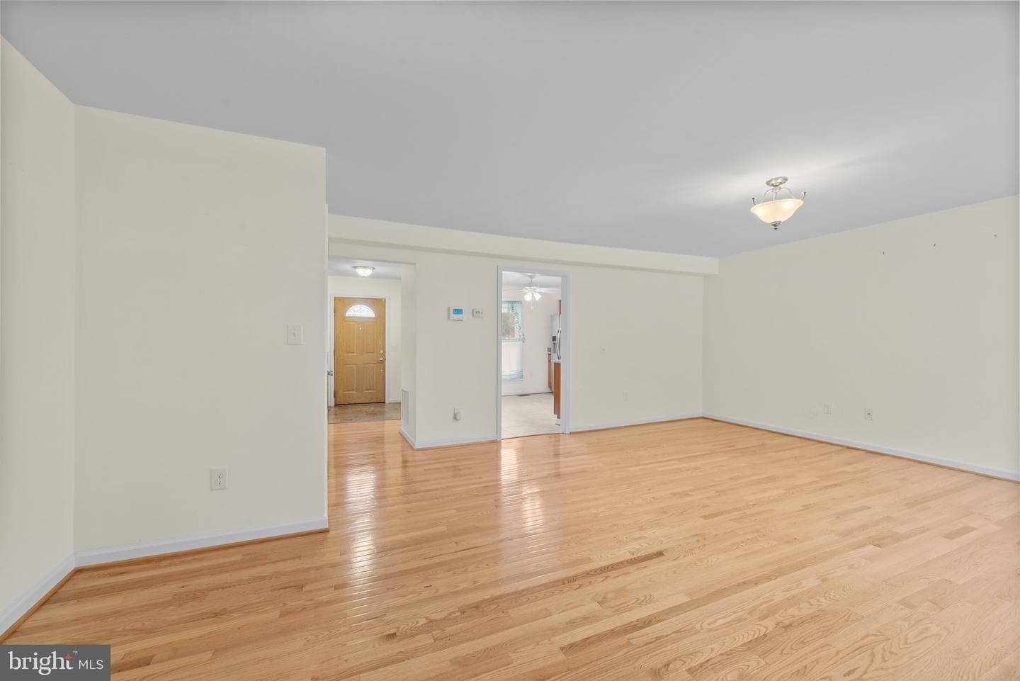 8556 Kim Marie Court photo 12