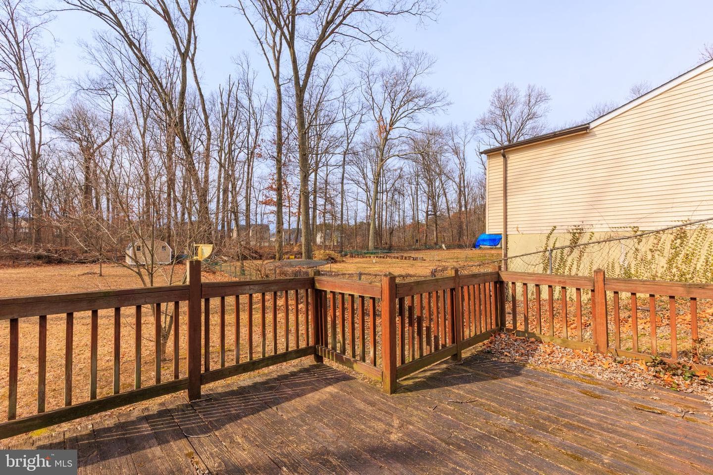 7511 Montevideo Court photo 27