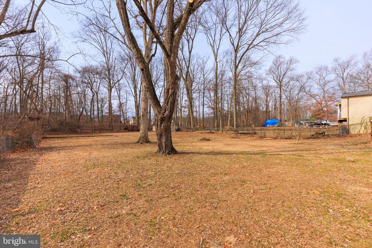 7511 Montevideo Court photo 28