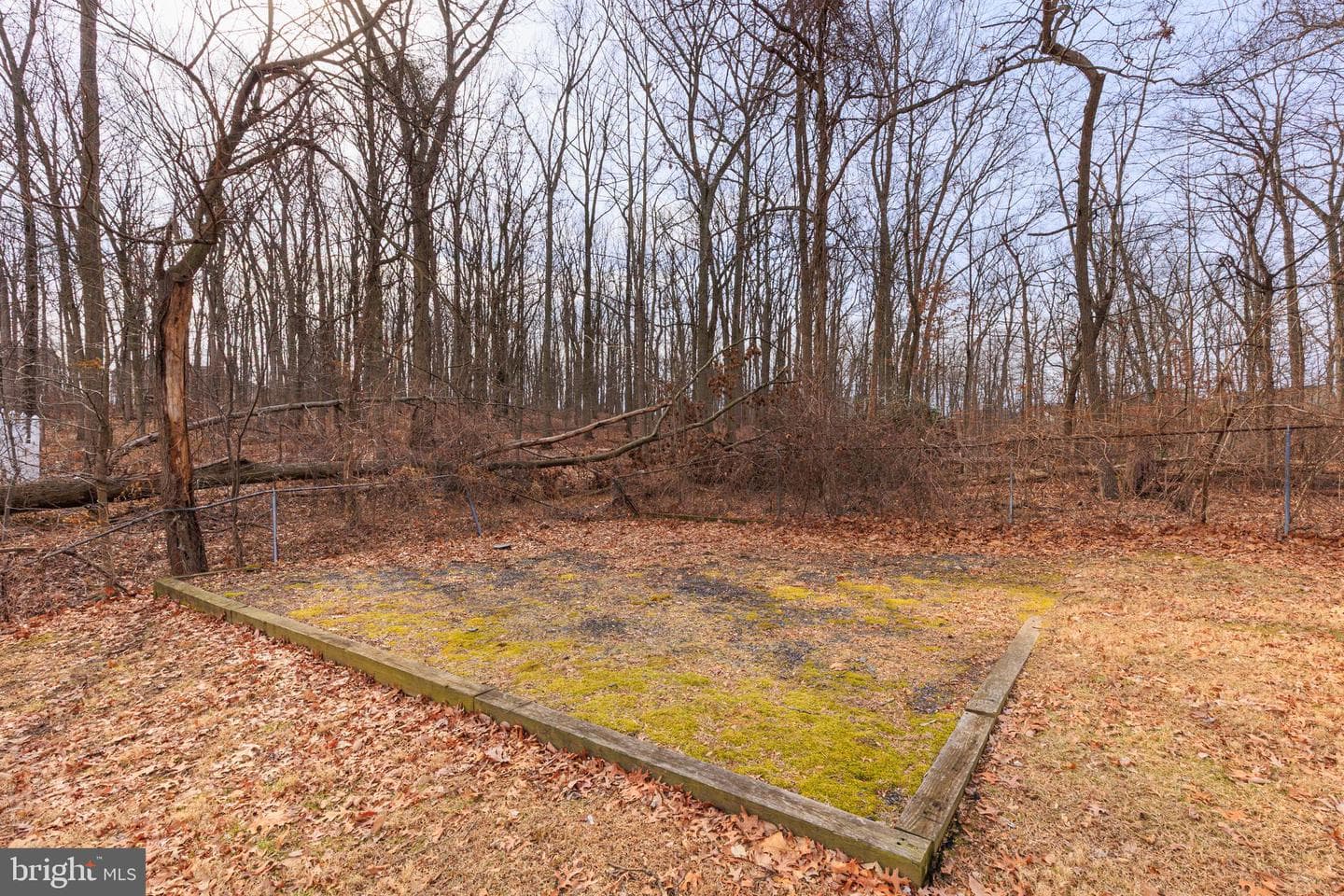 7511 Montevideo Court photo 31