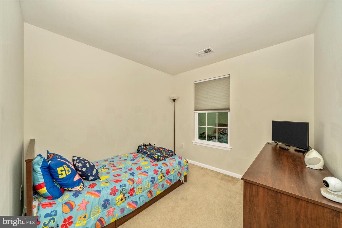 919 Hopkins Corner photo 34