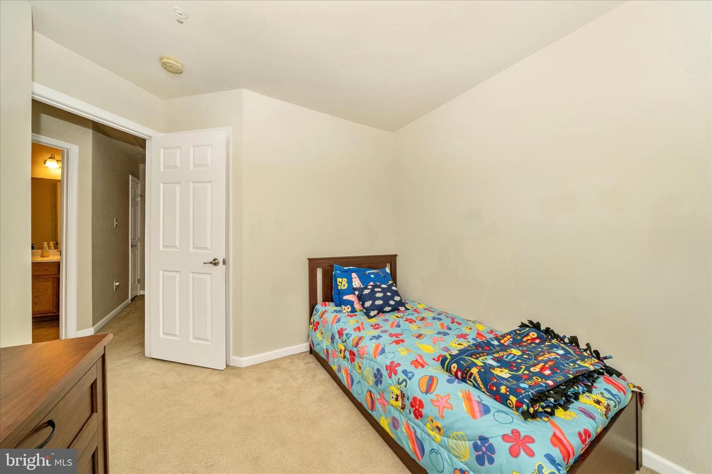 919 Hopkins Corner photo 36