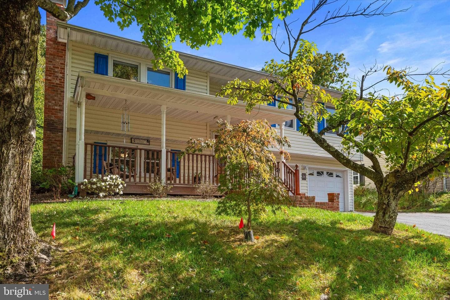 7967 Citadel Drive photo 3