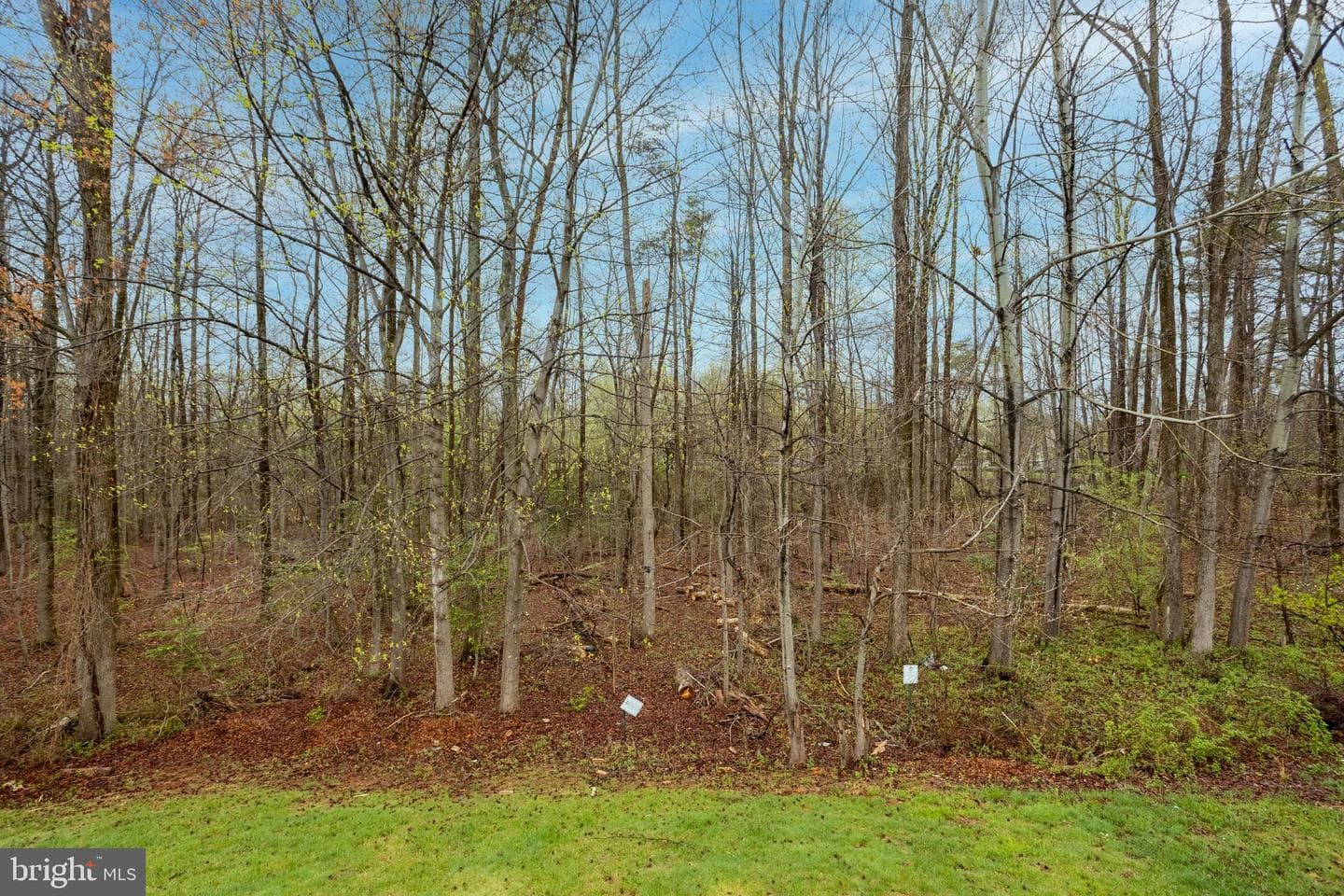 7740 Rotherham Drive photo 25