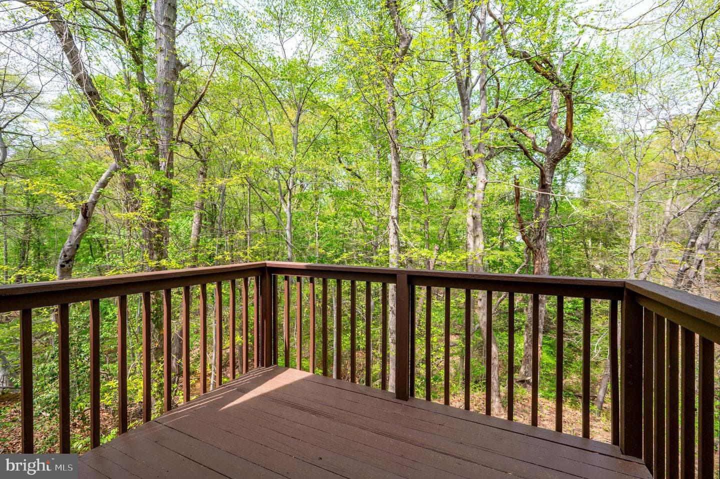 700 Pine Valley Court photo 9