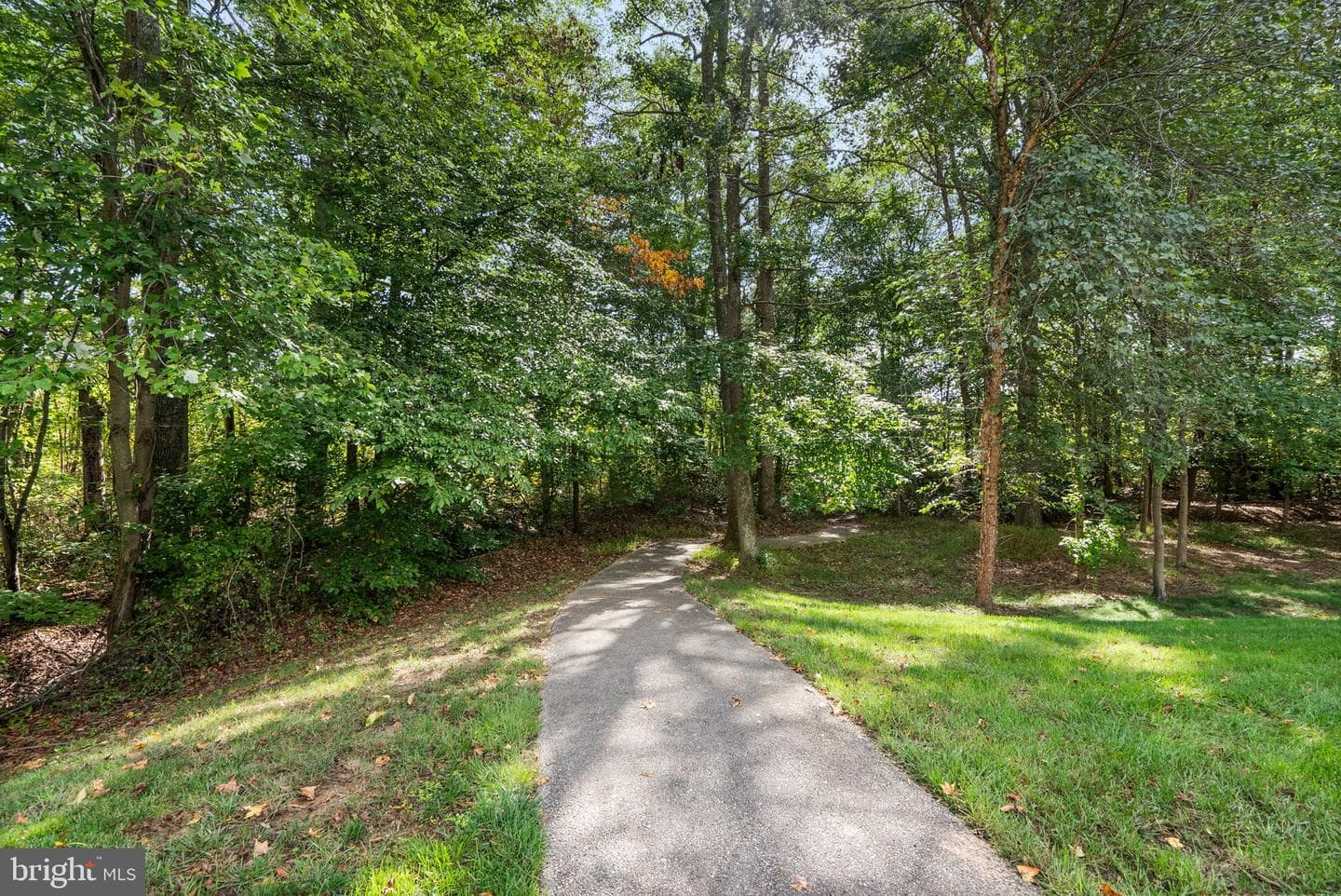 2403 Killarney Terrace photo 63
