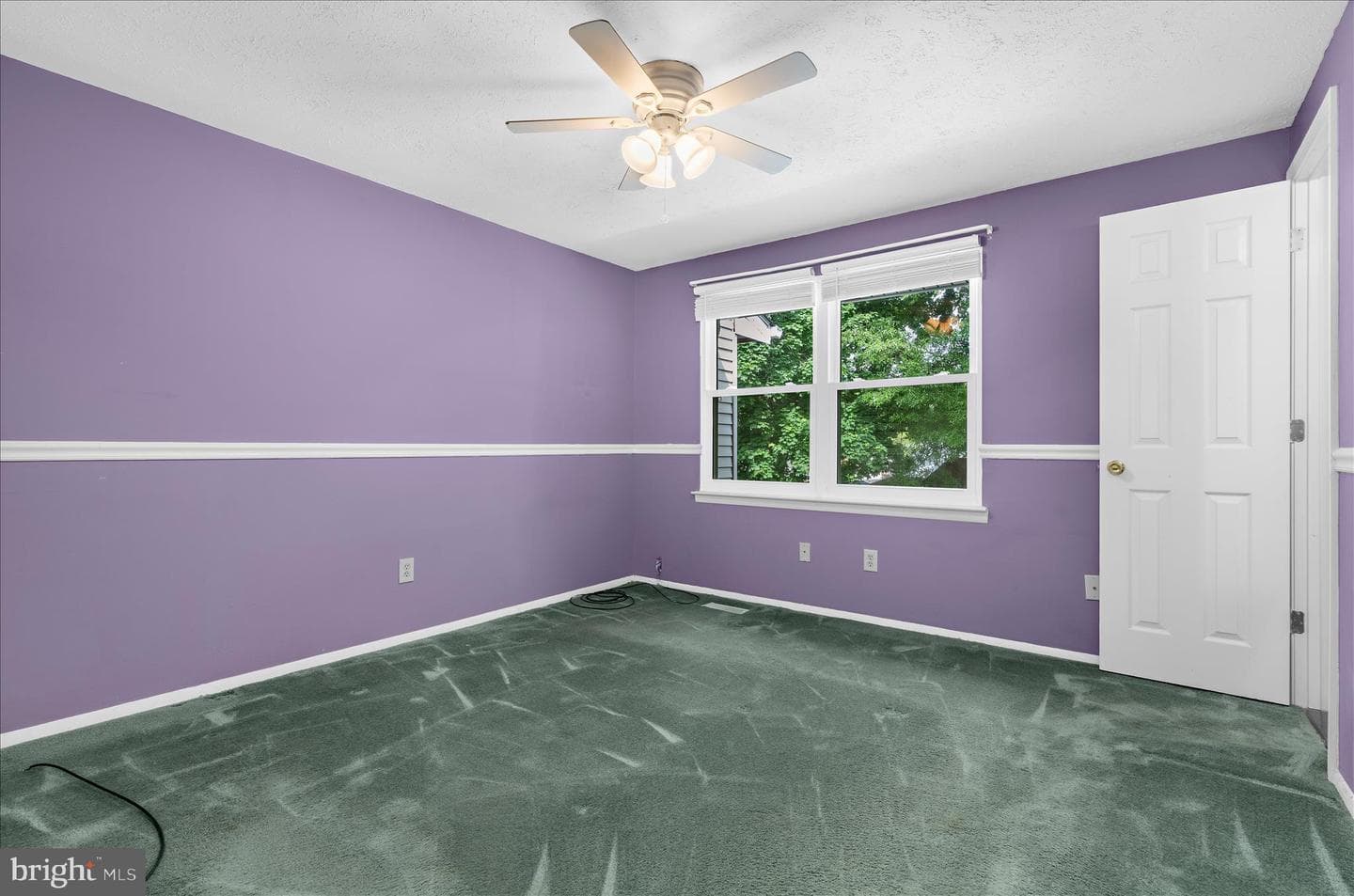 8085 Castle Rock Court photo 25