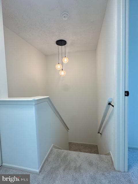 1587 Lodge Pole Court photo 14