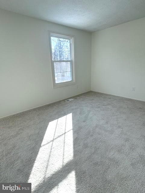 1587 Lodge Pole Court photo 17
