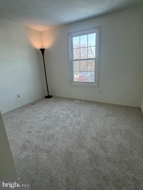 1587 Lodge Pole Court photo 19
