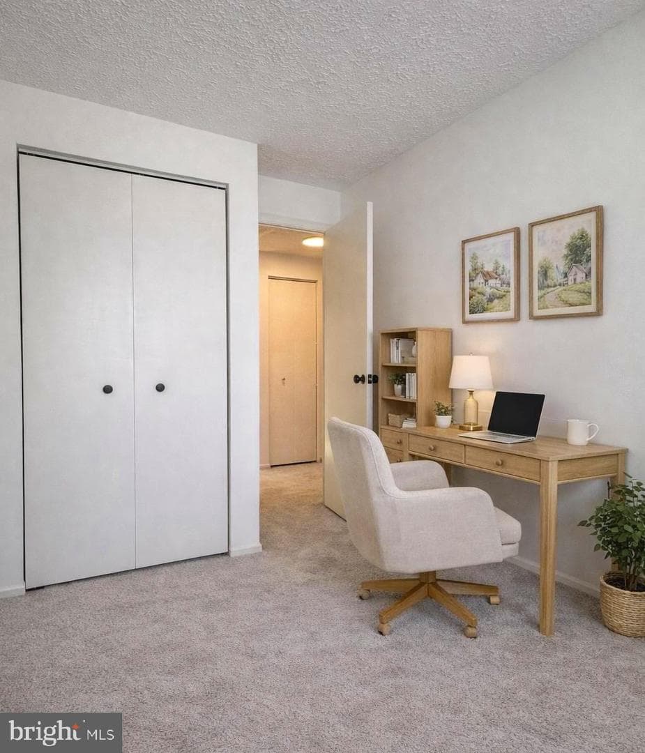 1587 Lodge Pole Court photo 20