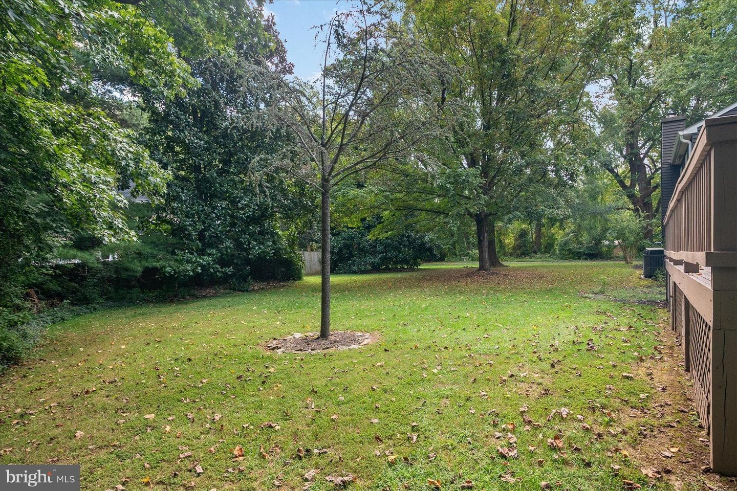 1404 Cotton Court photo 31