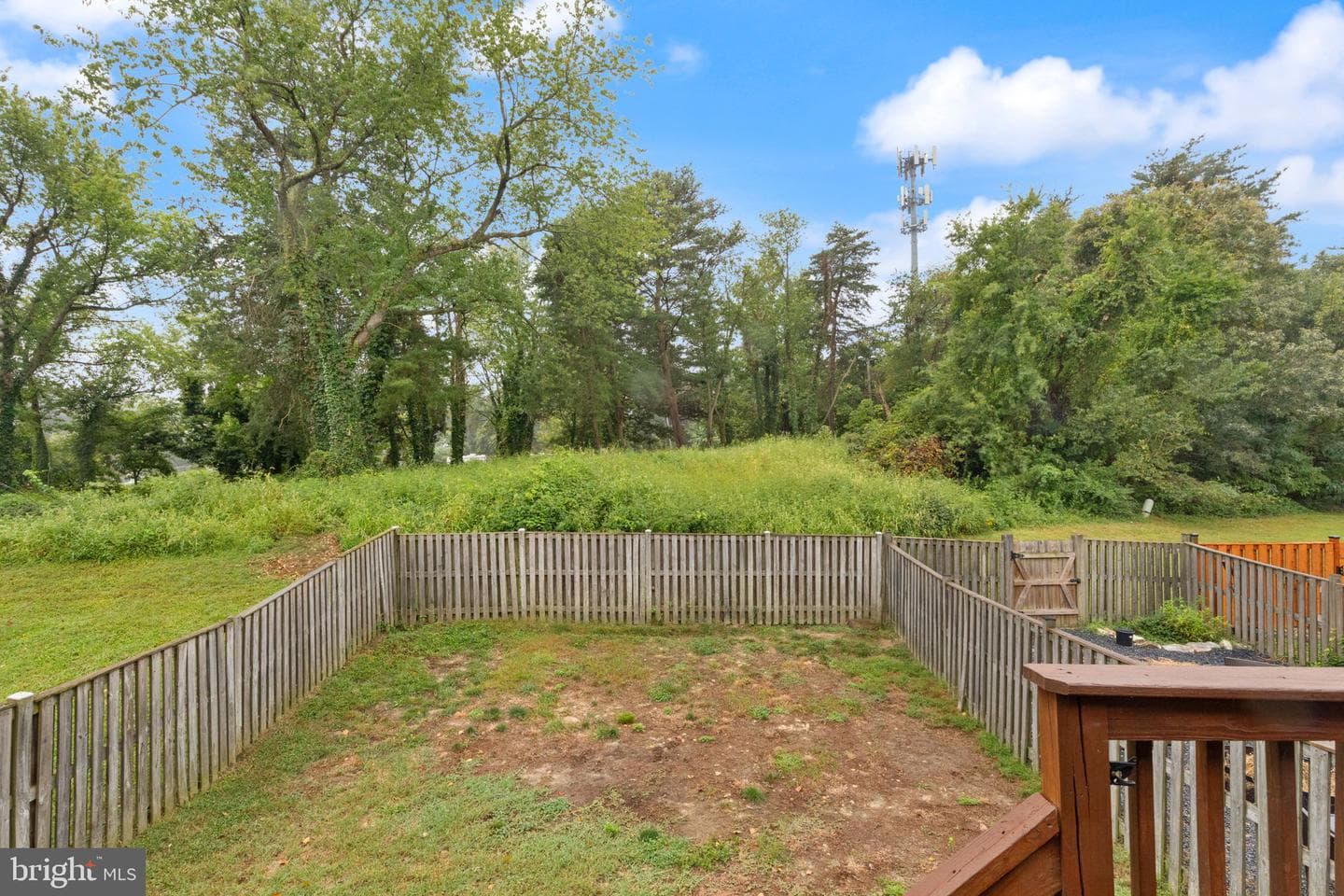 1186 Annis Squam Harbour photo 25