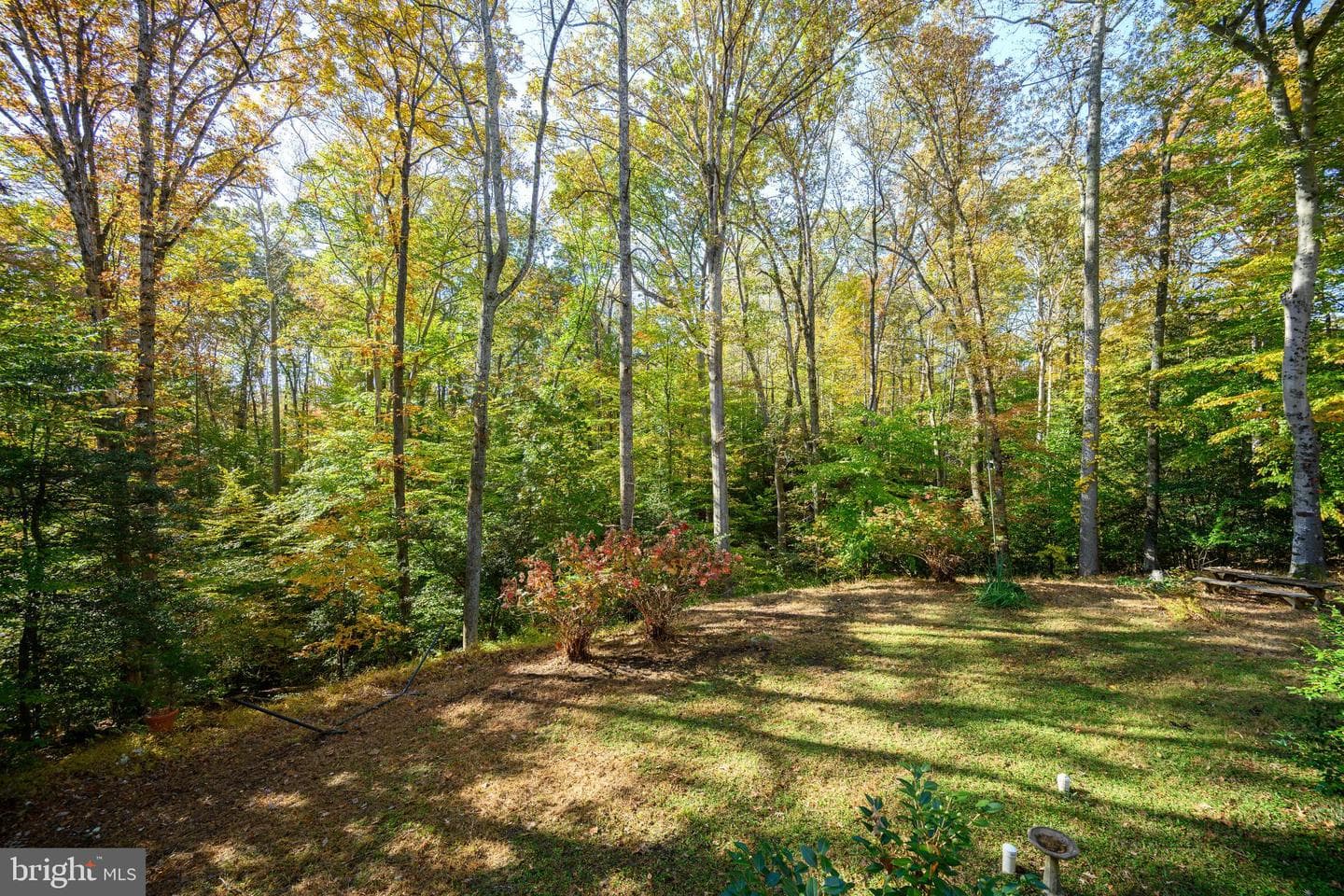2184 Branchwood Court photo 14