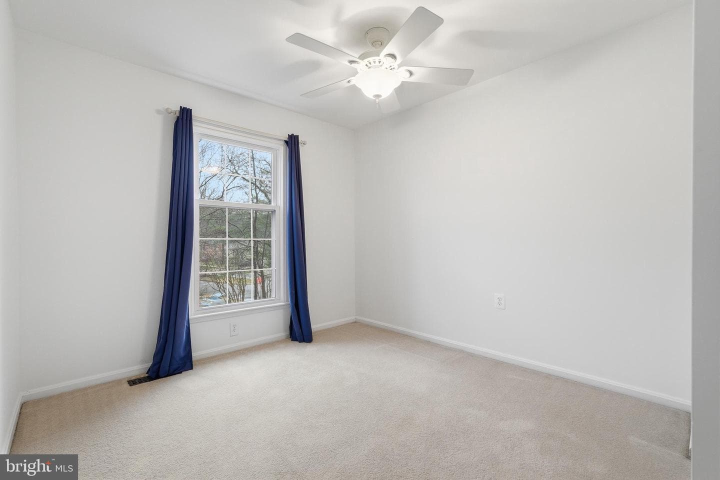 1734 Dana Street photo 22