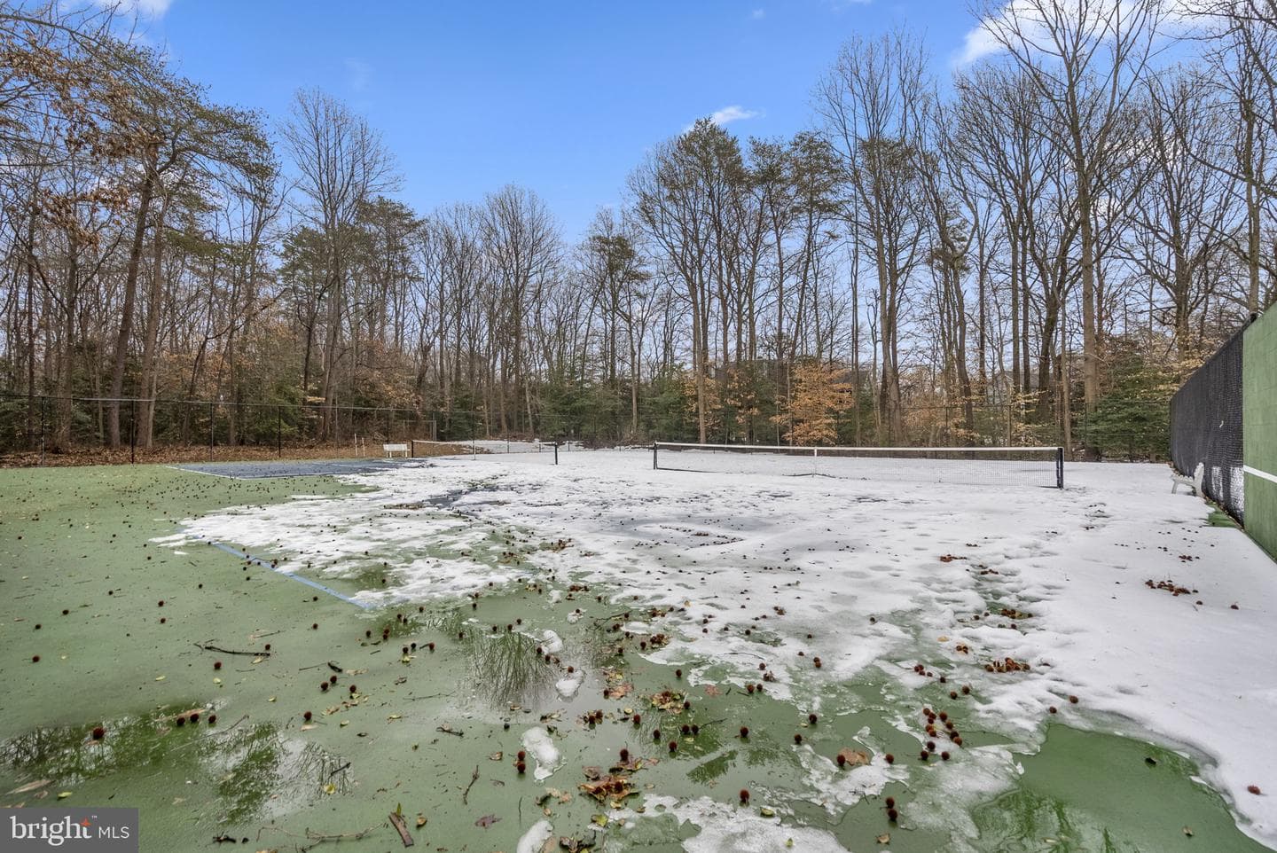 2733 Gingerview Lane photo 45