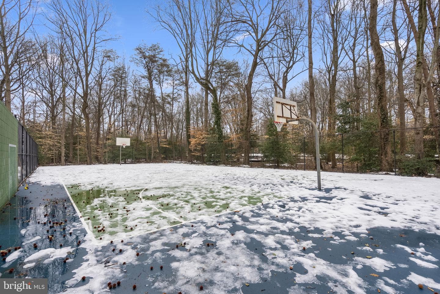 2733 Gingerview Lane photo 50