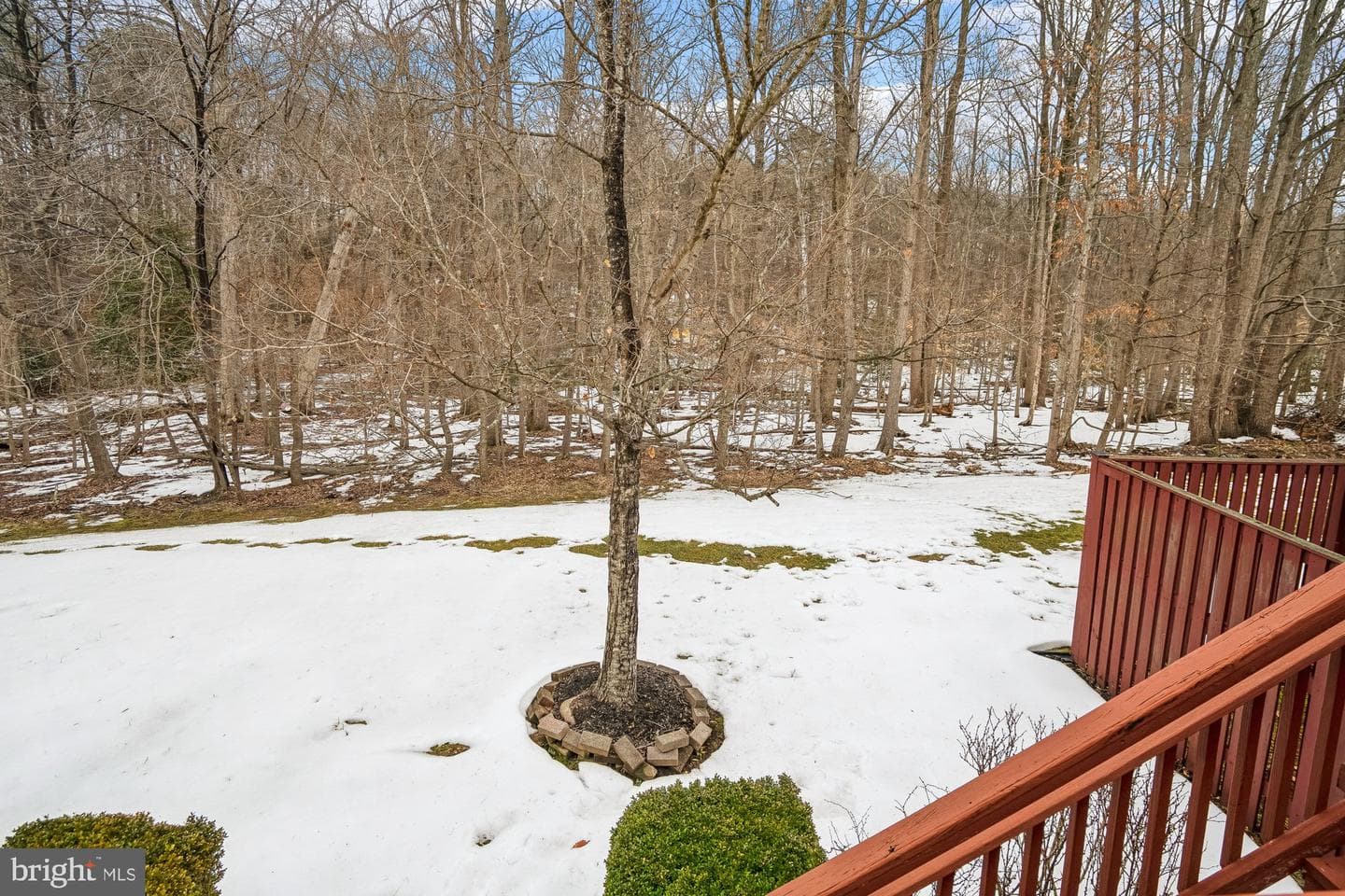 2506 Summers Ridge Drive photo 15