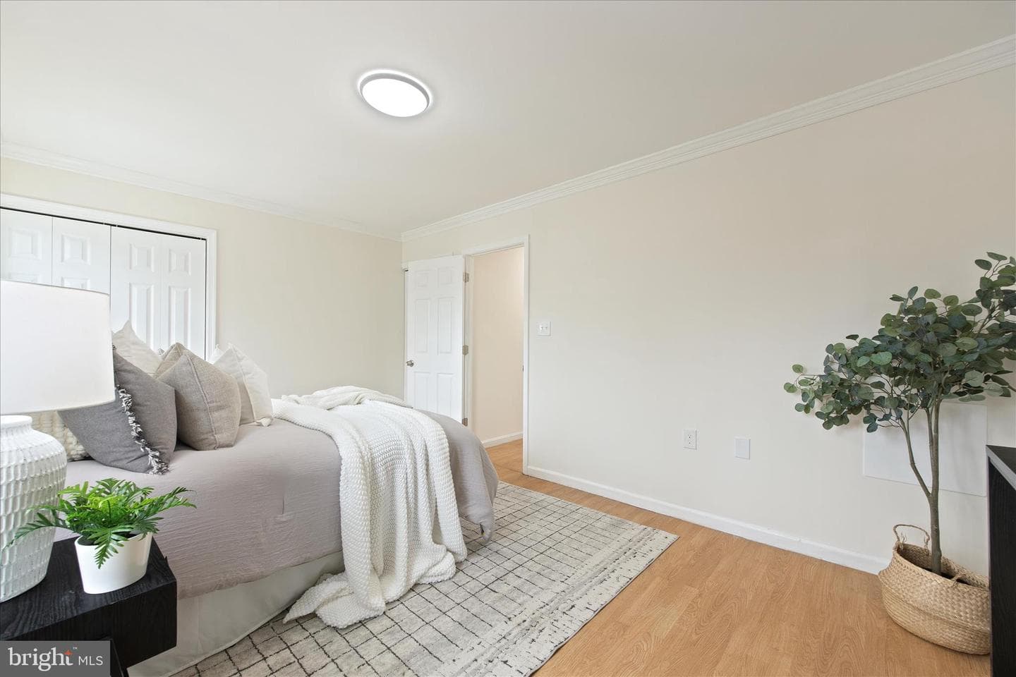 1819 Oriole Court photo 23
