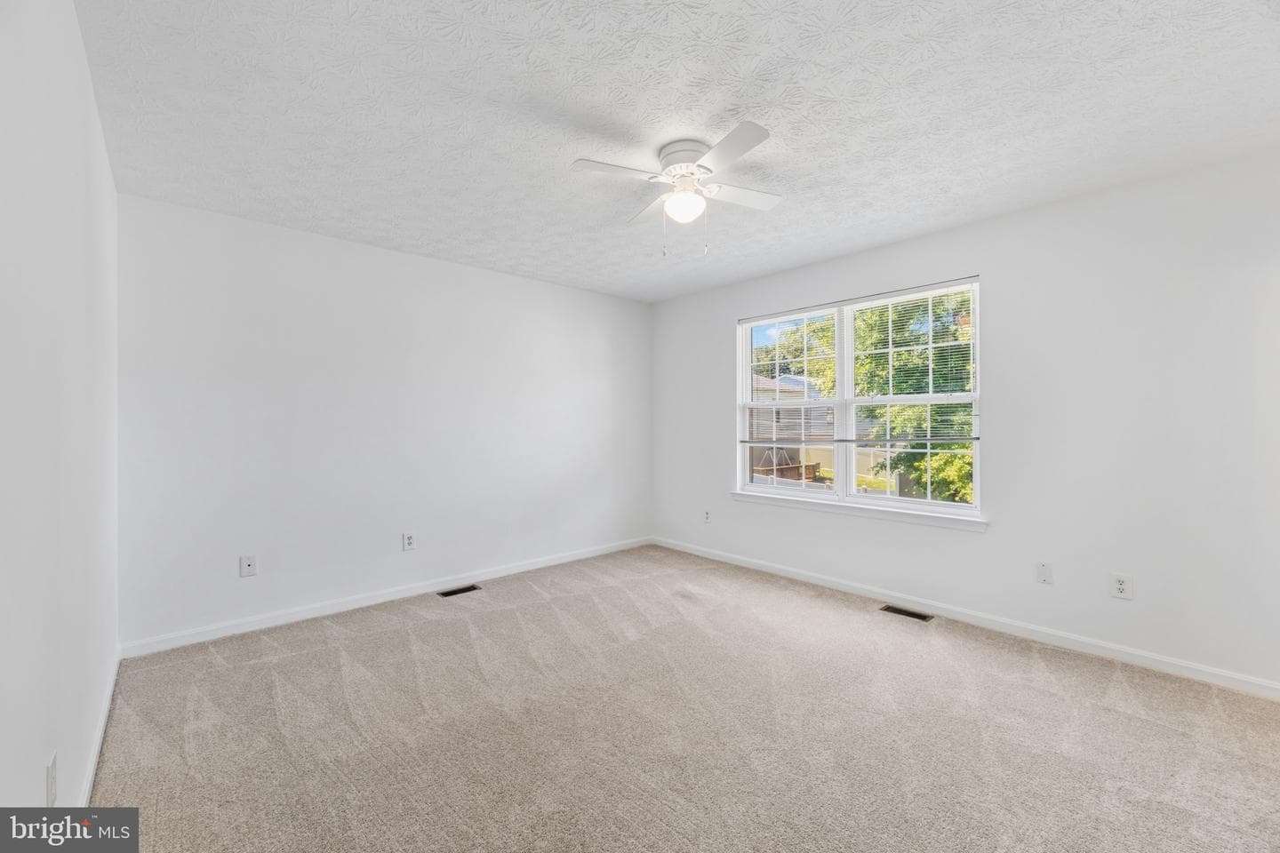 7756 Everd Avenue photo 22