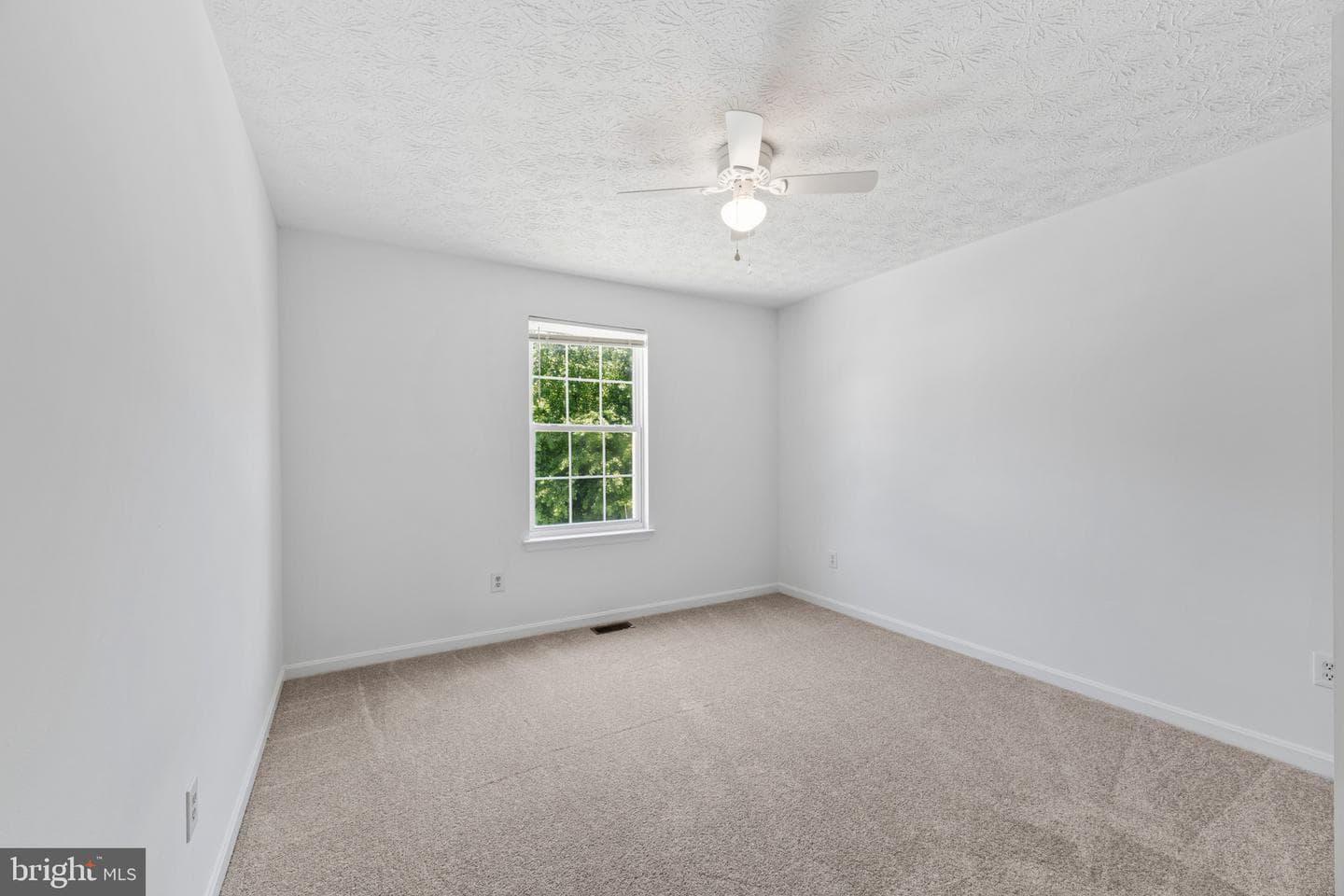 7756 Everd Avenue photo 23