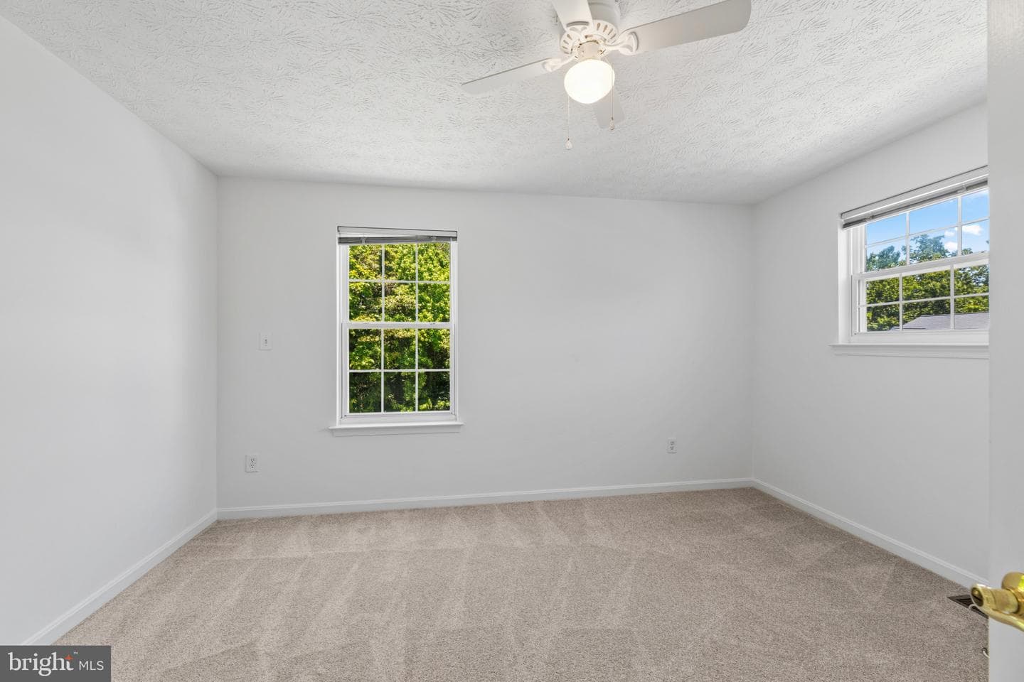 7756 Everd Avenue photo 24