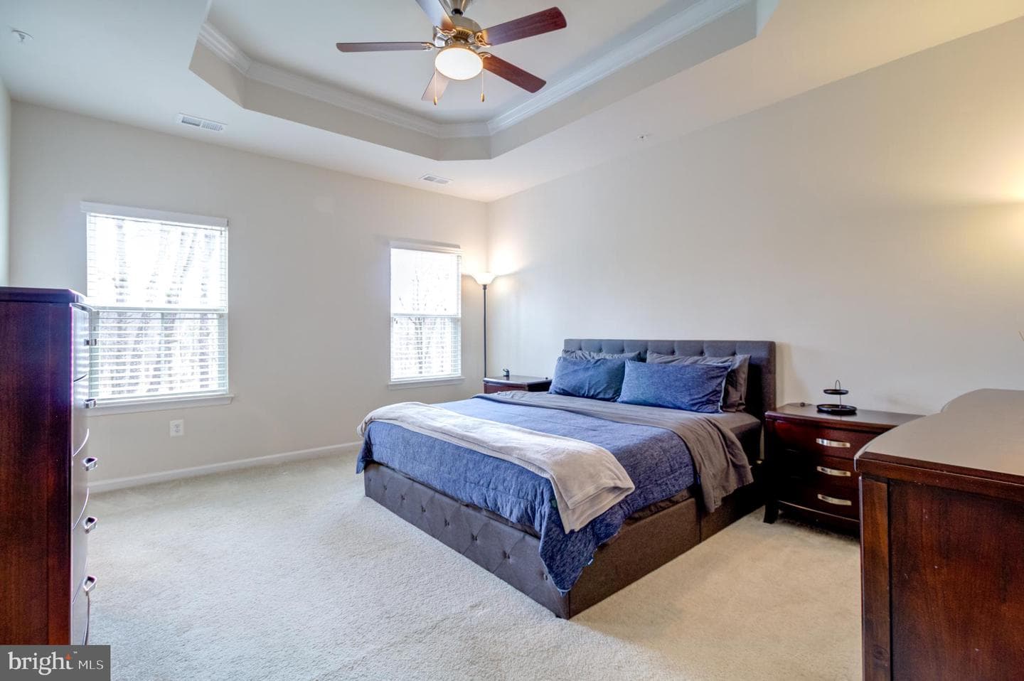 8244 Hickory Hollow Drive photo 17