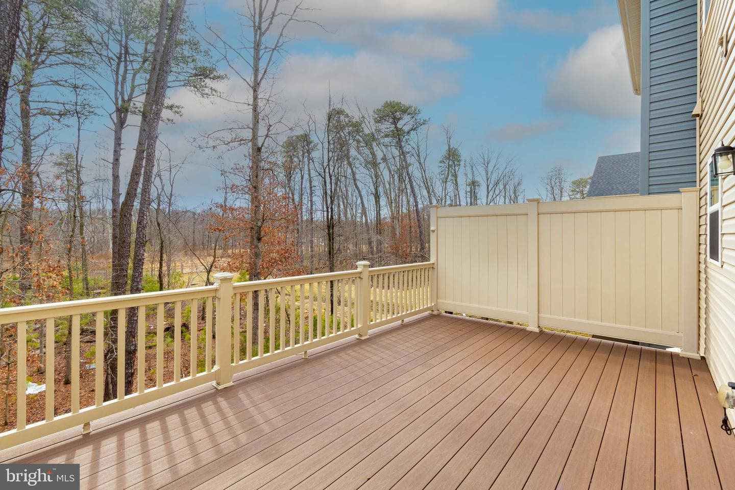 8244 Hickory Hollow Drive photo 6
