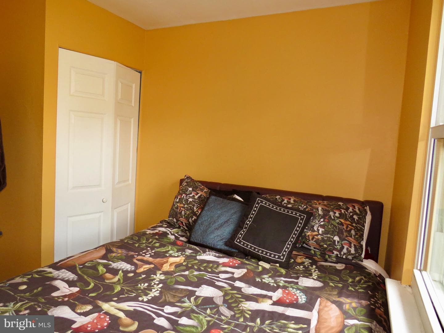 494 Kenilworth Court photo 18