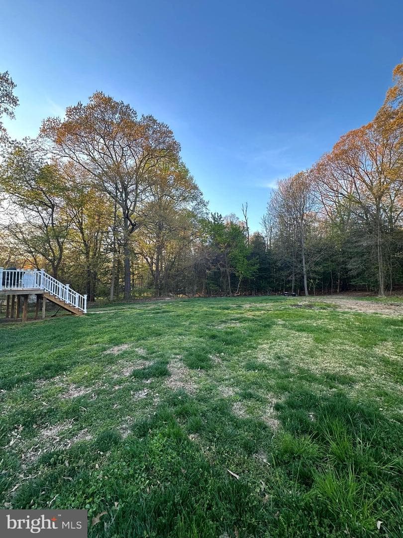 1564 Colony Road photo 44