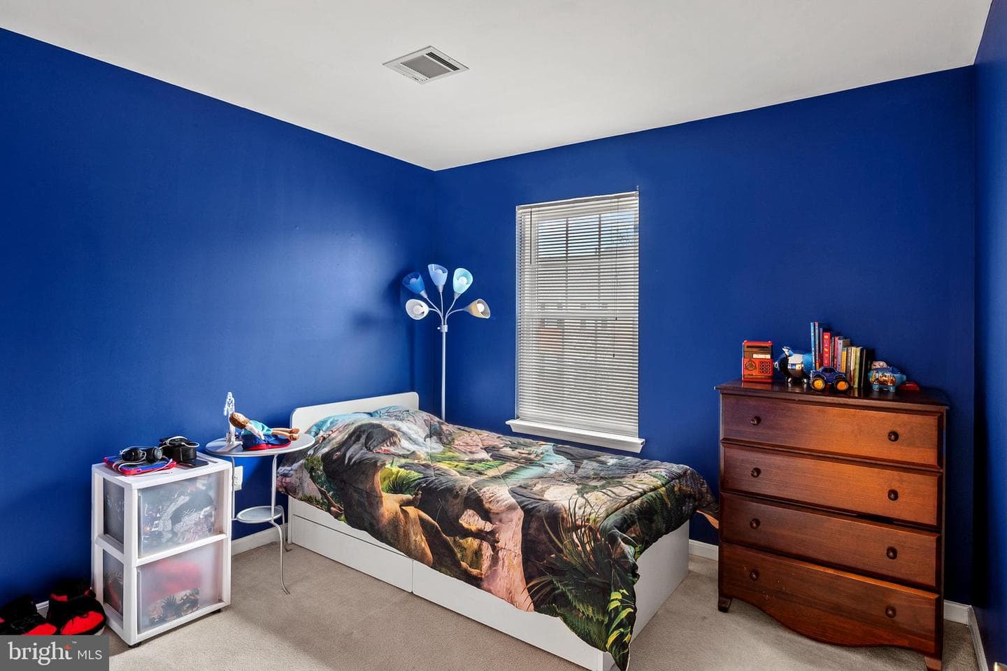 2720 Summers Ridge Drive photo 22