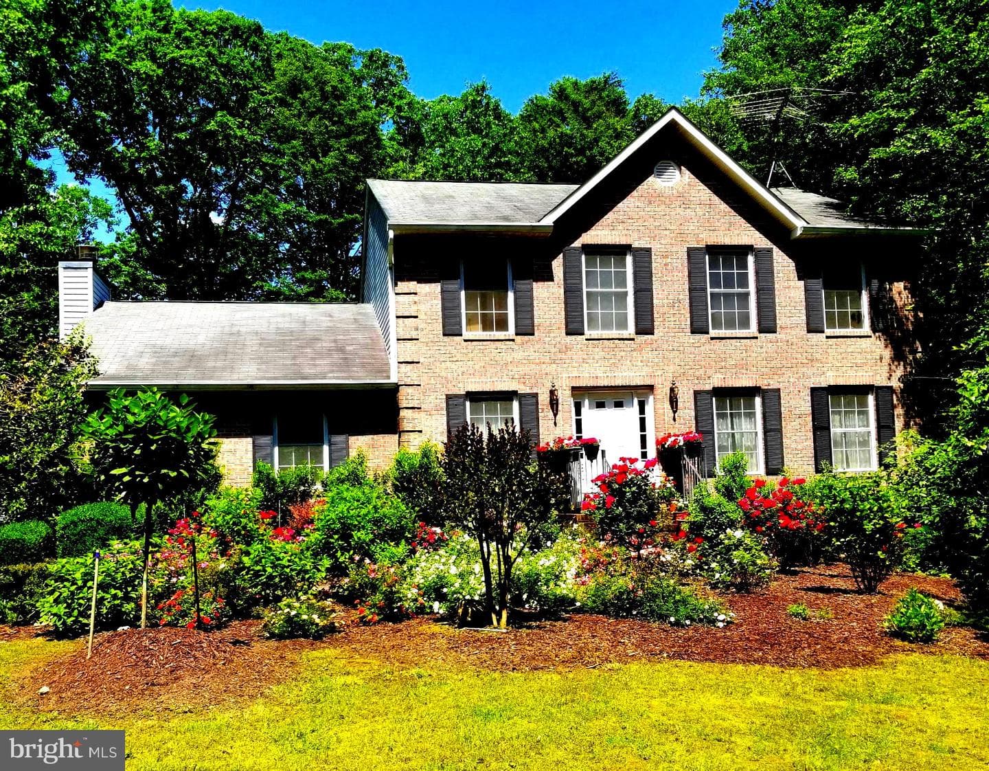 401 Amberly Ridge Lane photo 1