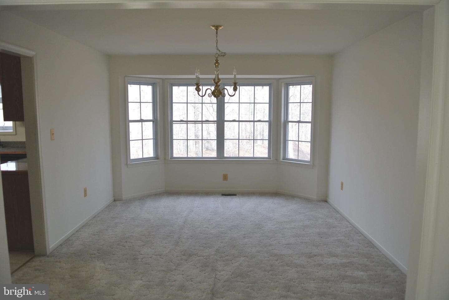 401 Amberly Ridge Lane photo 16
