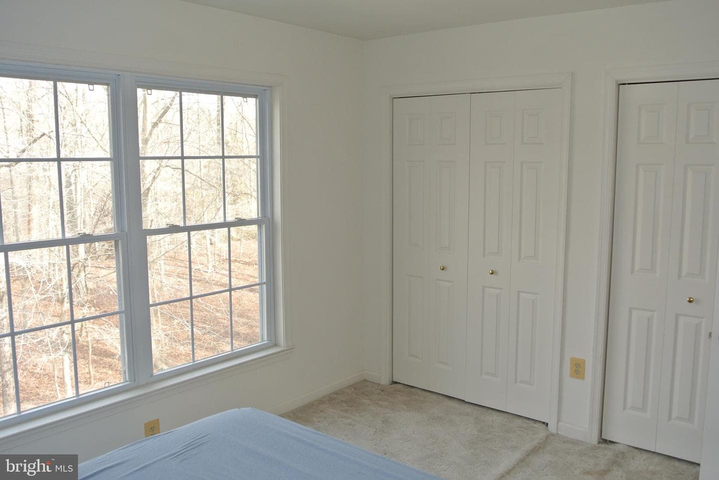 401 Amberly Ridge Lane photo 33