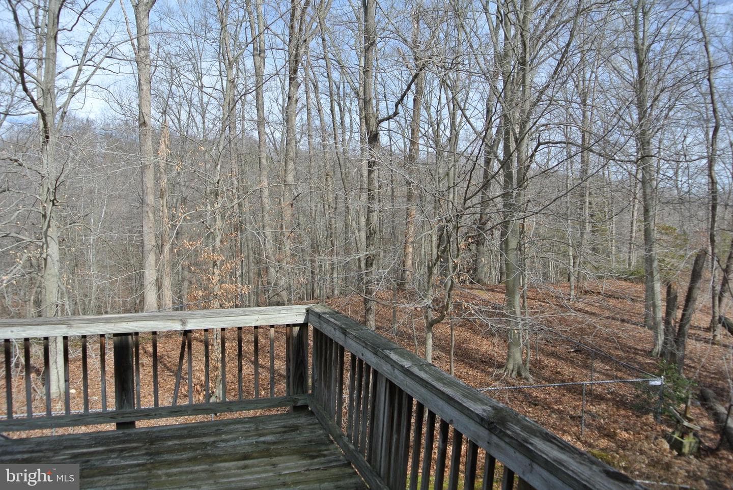 401 Amberly Ridge Lane photo 43