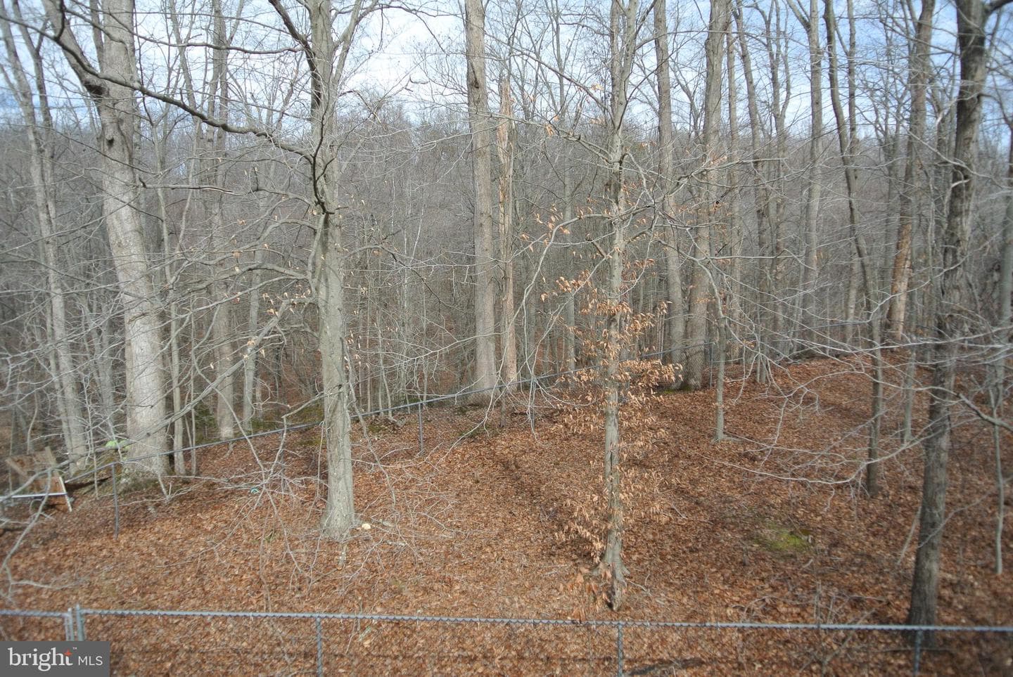 401 Amberly Ridge Lane photo 44