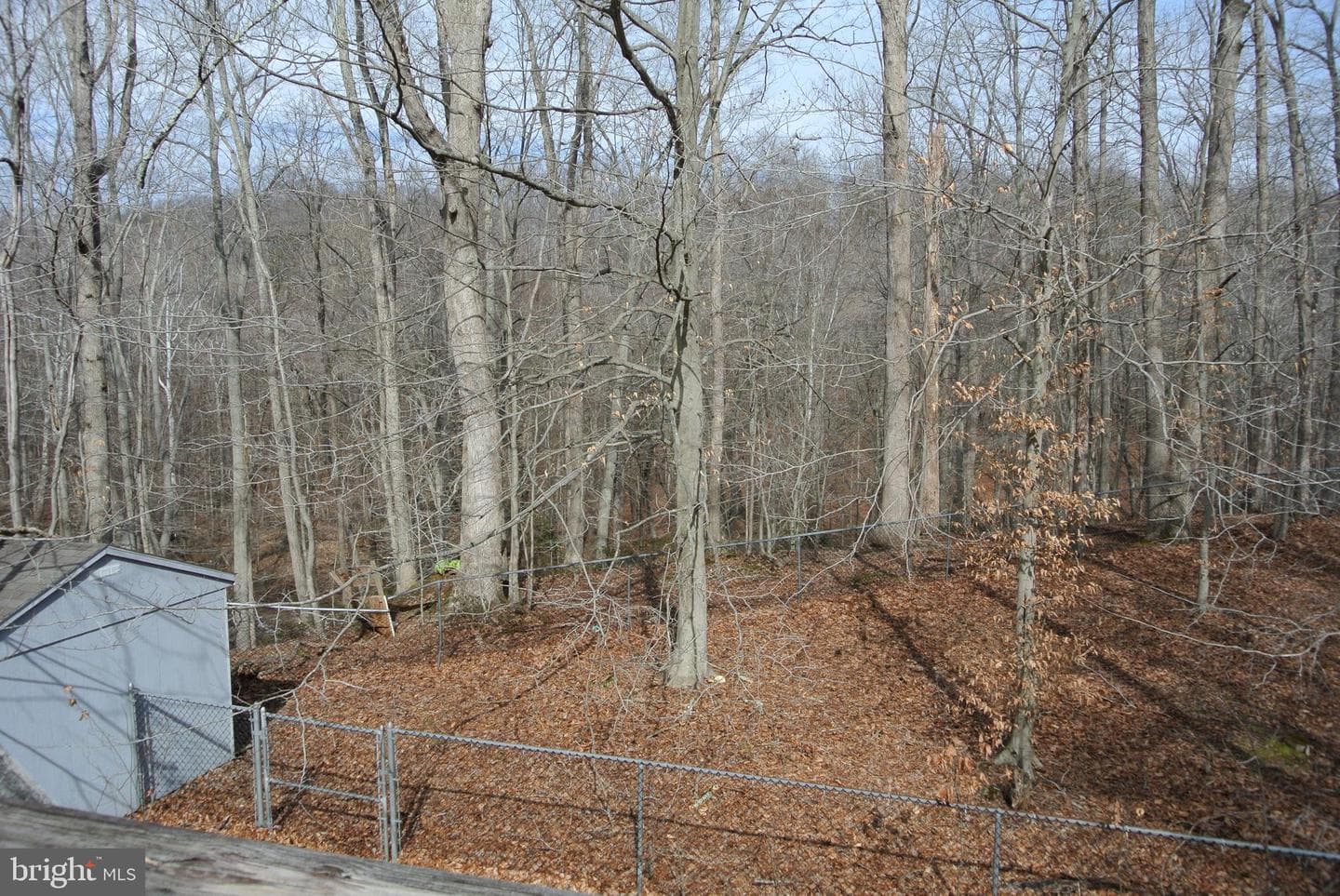 401 Amberly Ridge Lane photo 45