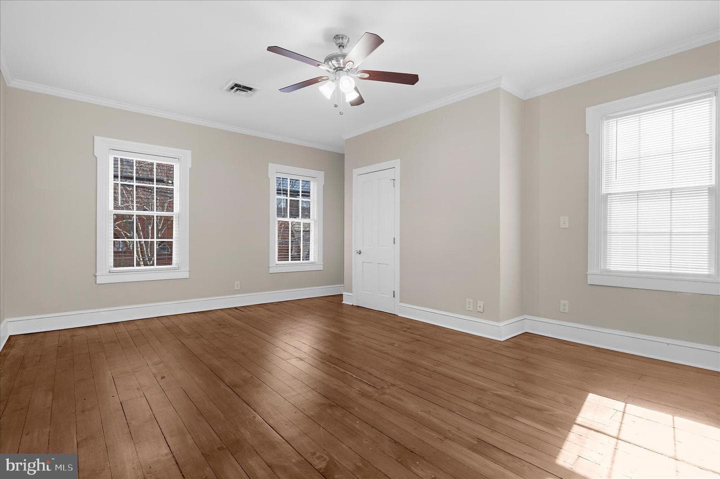 163 Prince George Street photo 45