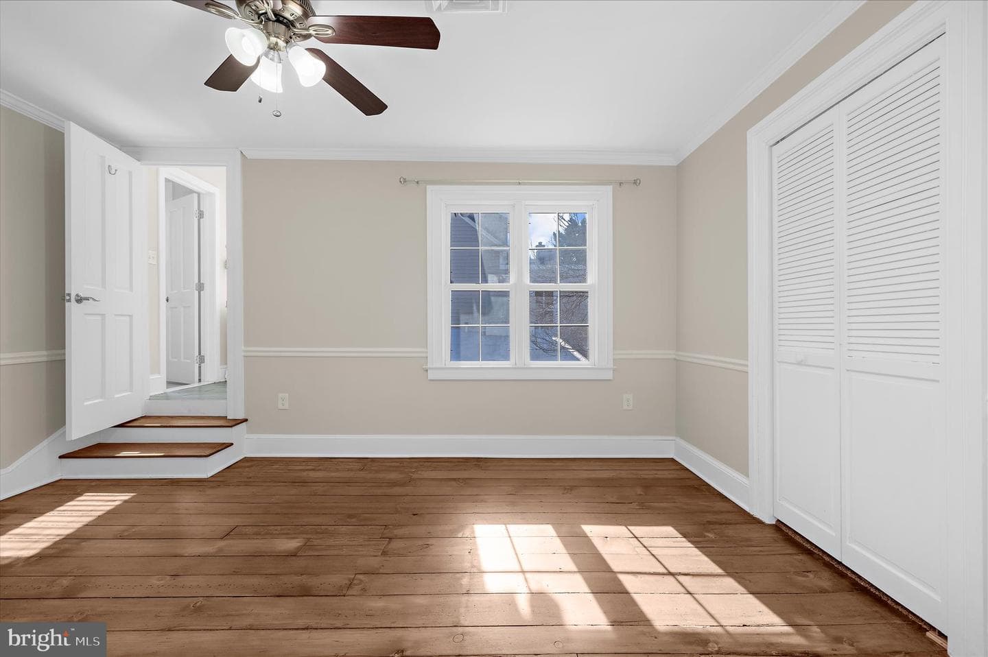 163 Prince George Street photo 46