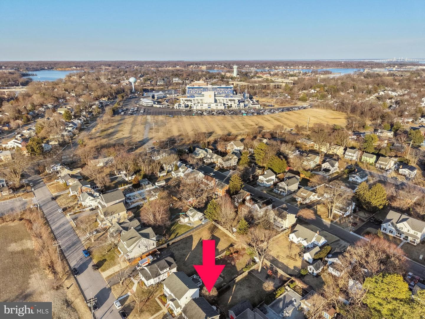304 Locust Avenue photo 47