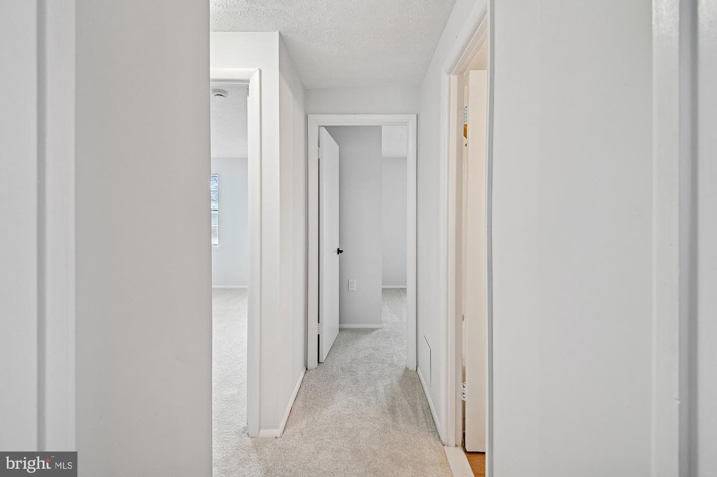 2518 Maytime Drive photo 48