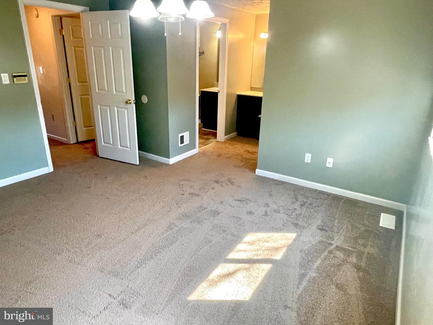 8194 Mountain Estate Court photo 19