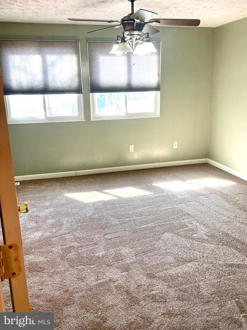 8194 Mountain Estate Court photo 23