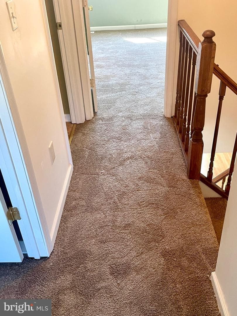 8194 Mountain Estate Court photo 28