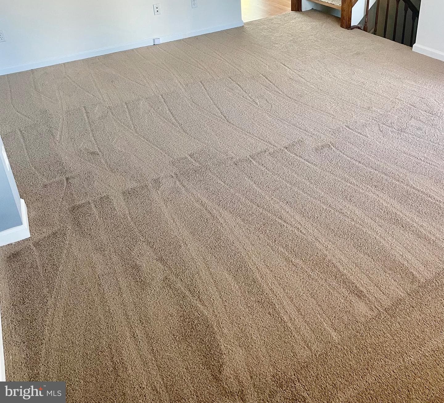 8194 Mountain Estate Court photo 7