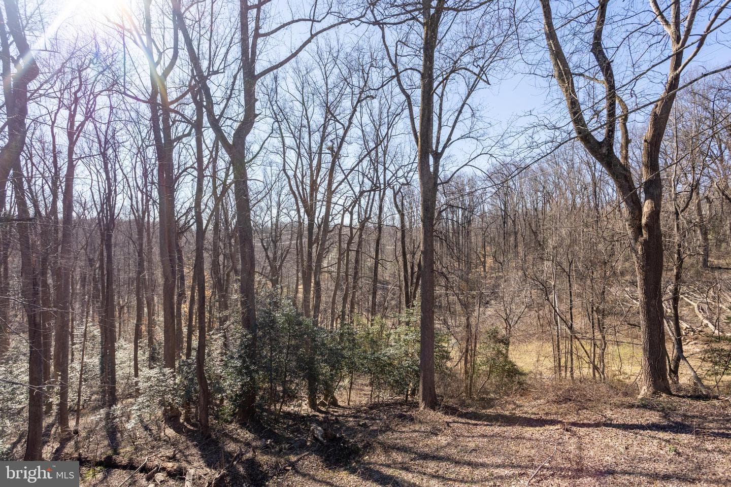 1307 Tall Timbers Drive photo 60