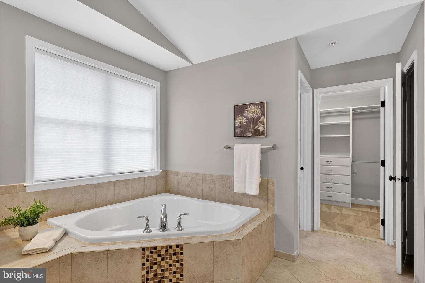 8241 Saint Francis Drive photo 30