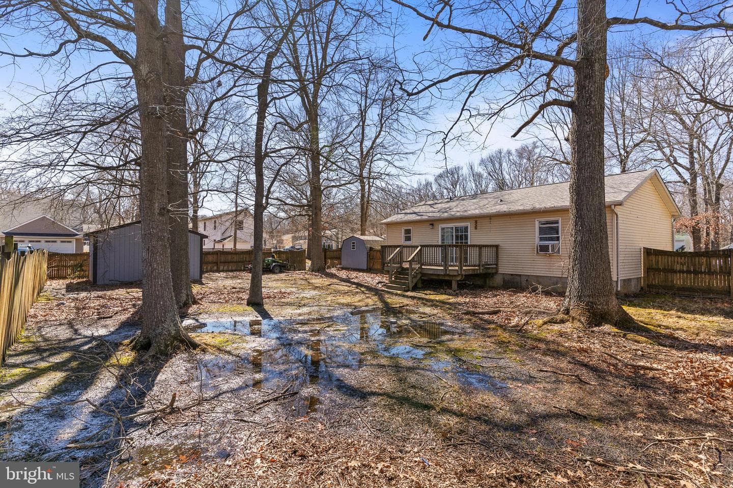 5529 Carvel Street photo 14