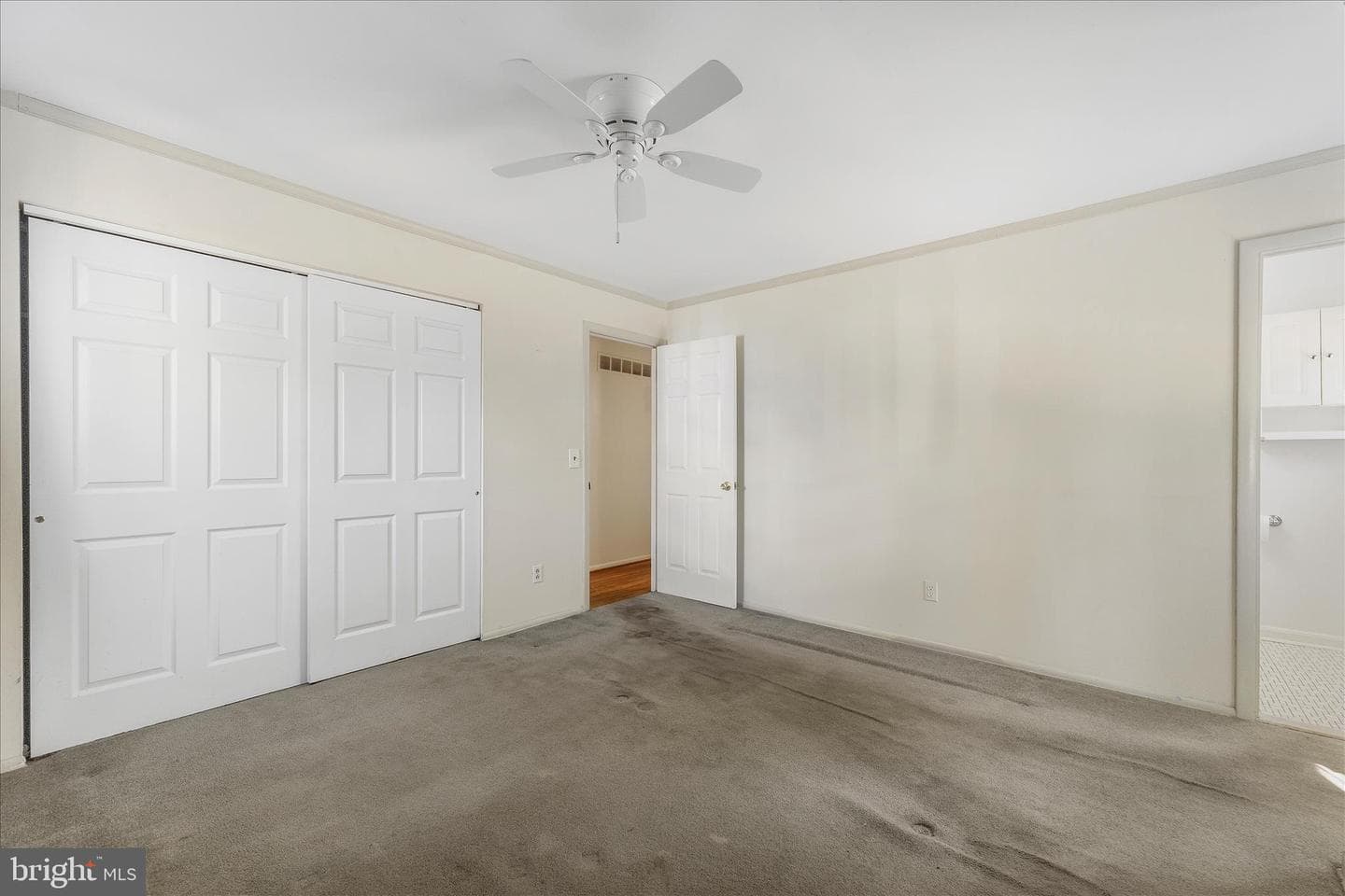 804 Cypress Beach Road photo 17
